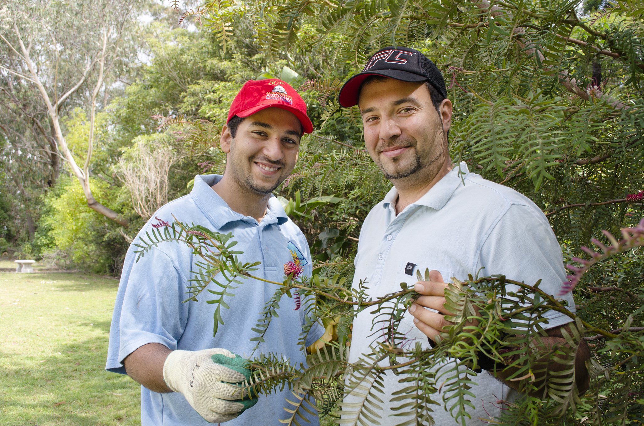 Community and faith volunteers work to preserve endangered shrub